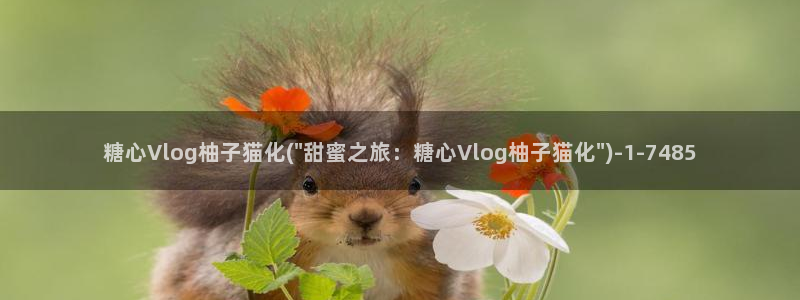 糖心vlog颜值