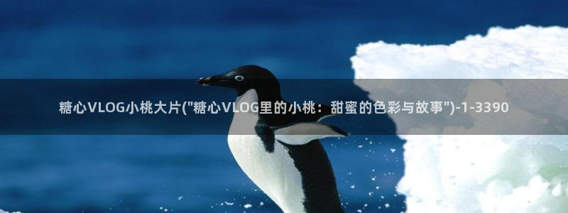 安安糖心vlog
