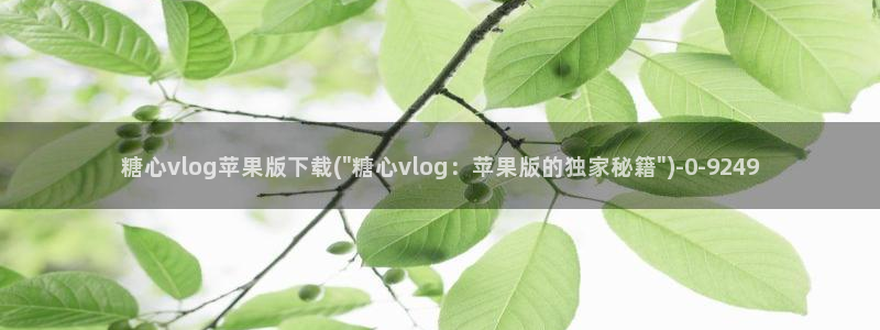 糖心vlog帐号凭证
