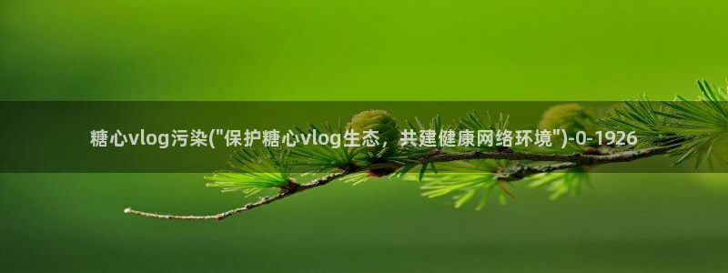 糖心vlog日本达人