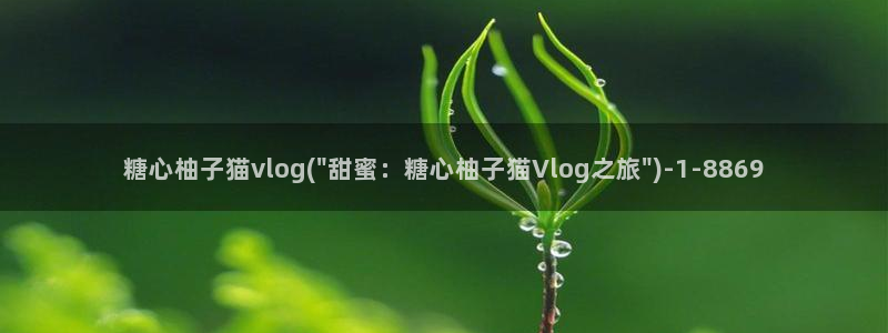 免费糖心vlog导航