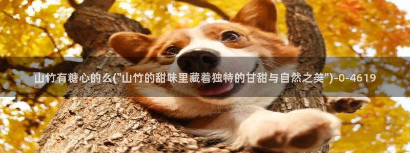 糖心短视频vlog下载