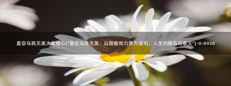 糖心vlog视频观看