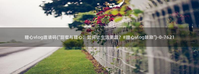 糖心vlog美女