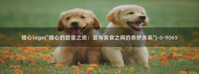 什么是糖心vlog