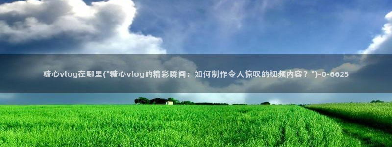 糖心视频vlog在线播放