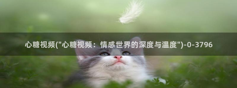 糖心少女vlog排行榜