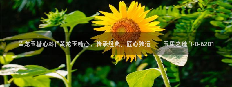 糖心vlog免费观看网站