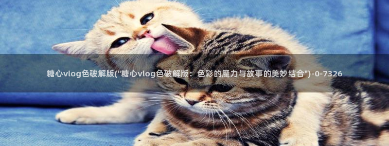 心糖vlog免费观看