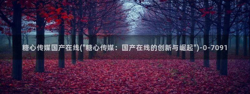 糖心vlog糖