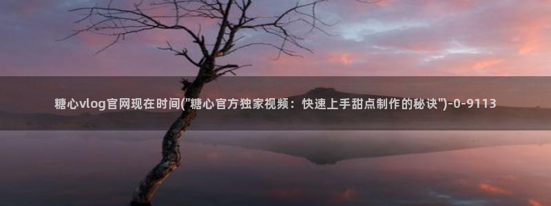 糖心vlog.