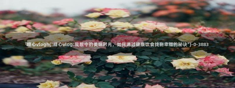 破解版糖心vlog