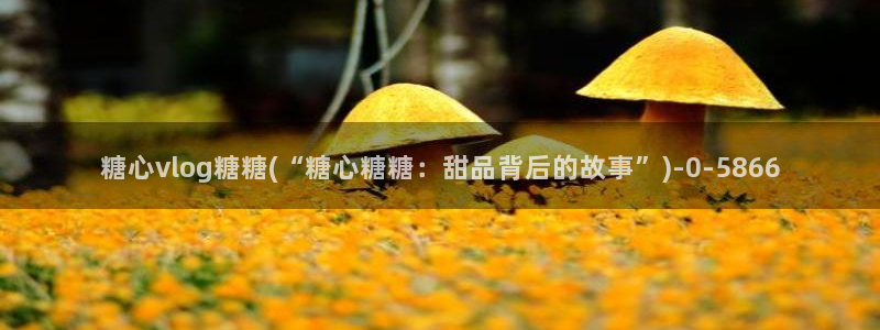 糖心vlog网站入口