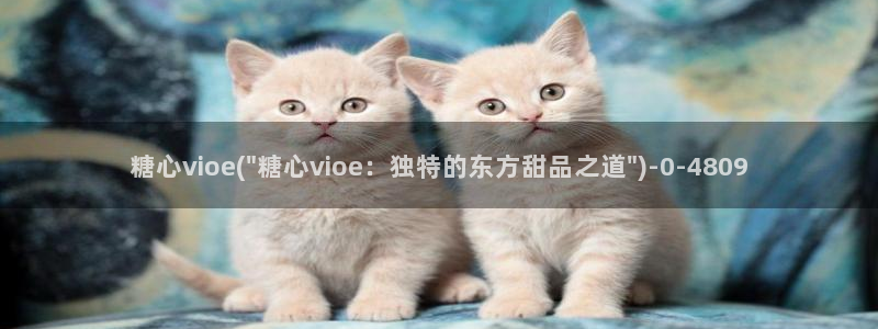 糖心vlog破译