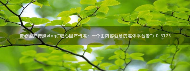 糖心vlog中国