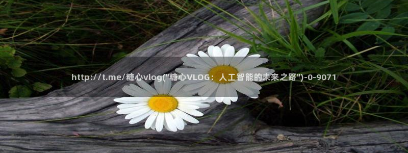 糖心vlog下载app官网