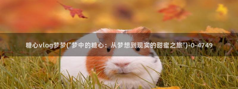 糖心vlog免费下载软件